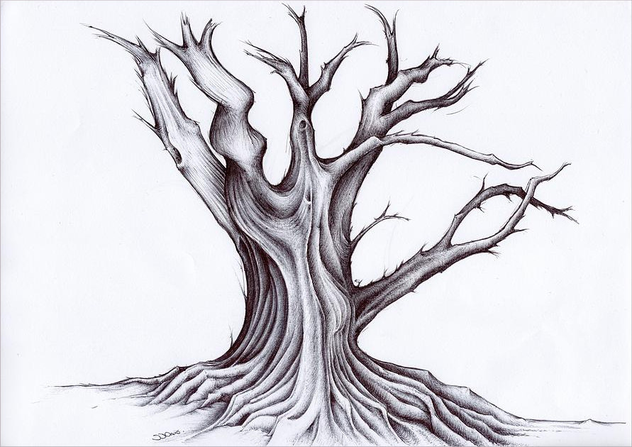 cool tree drawing