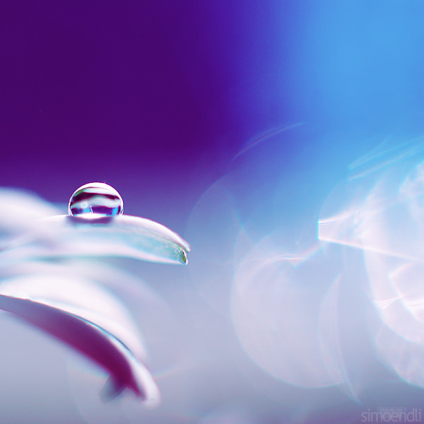 Cute Water Droplet Bokeh