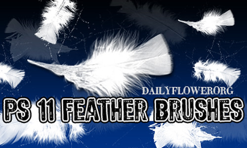 Download 11 photoshop soft feather brushes