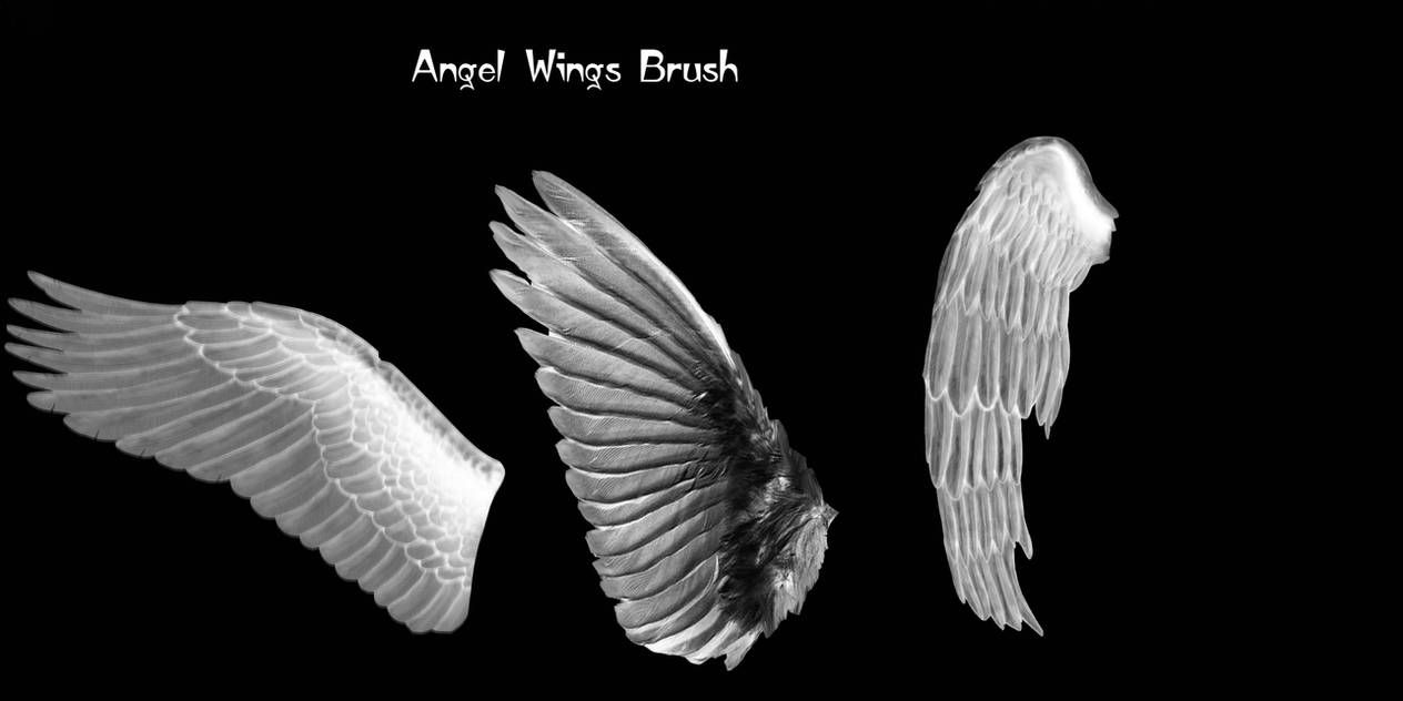 Download Free Agel Wings Brush