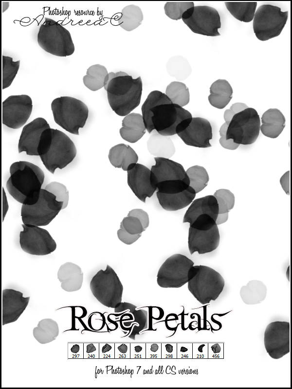 Download Free Back and White Rose Petals for Photoshop