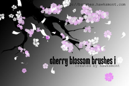 Download Free Cherry Blossom Brushes 1