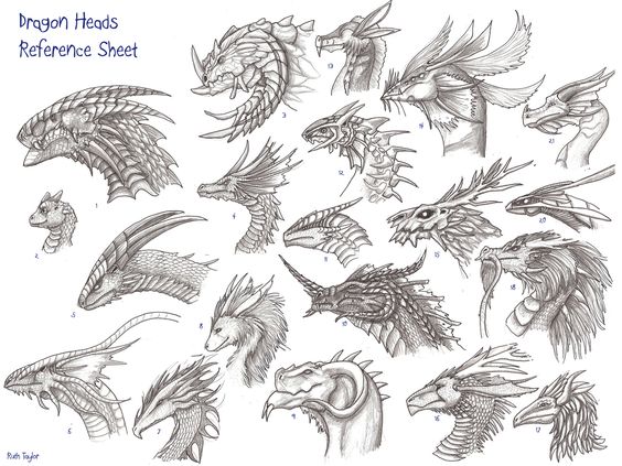 Dragon Heads Reference Sheet