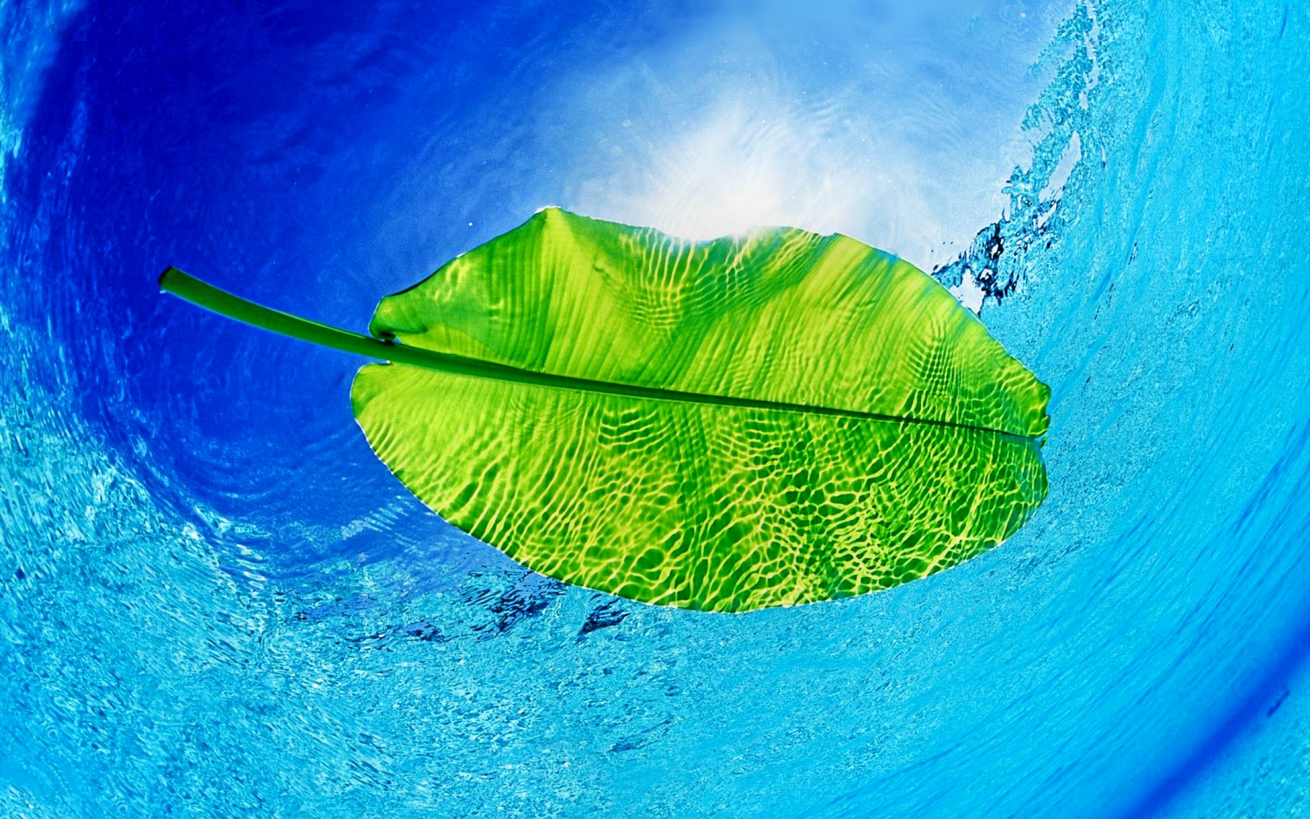 Earth leaf background