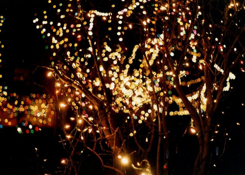 What Are Twinkle Lights What Are Twinkle Lights