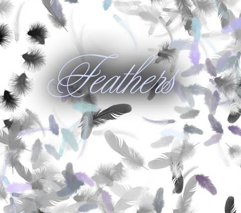 Feather brushes for gimp and photoshop