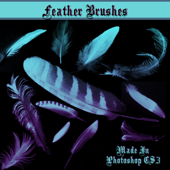 Feather photoshop brushes