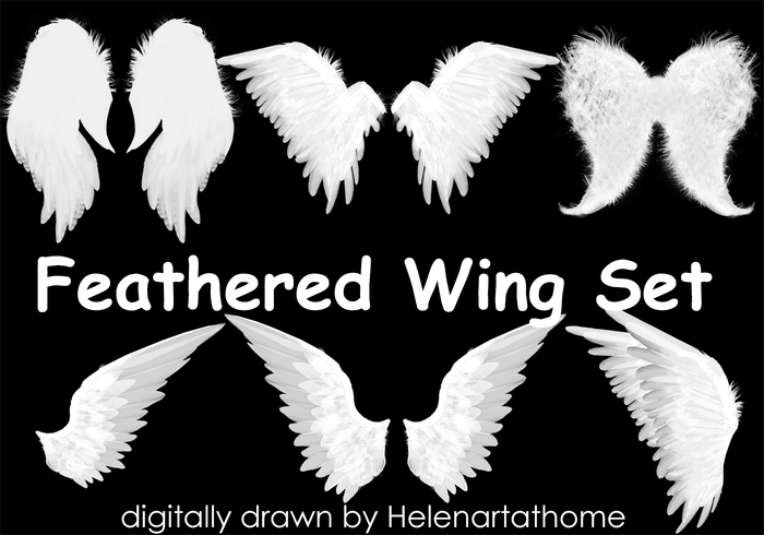 Feathered Set Wing Brushes