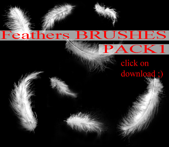 Feathers Brushes Pack