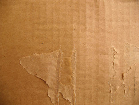 Free Ripped and Torn Cardboard Textures