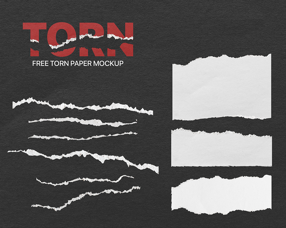 Free Torn Paper Mockup for Photoshop