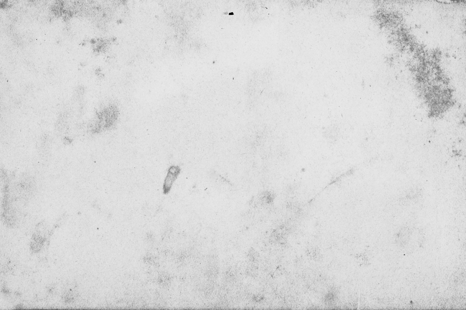 Free White Grunge Texture For You