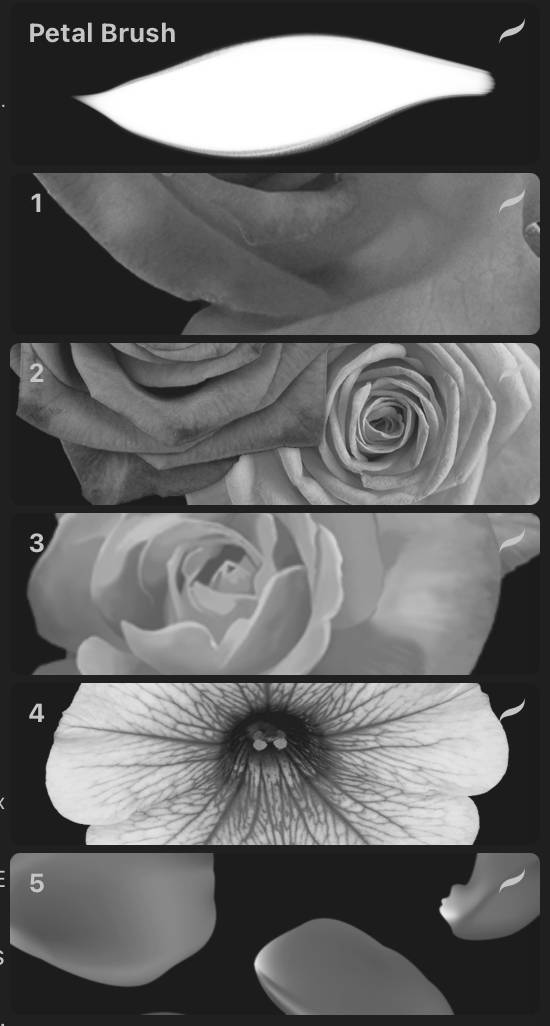 Free petal Procreate Brush Pack