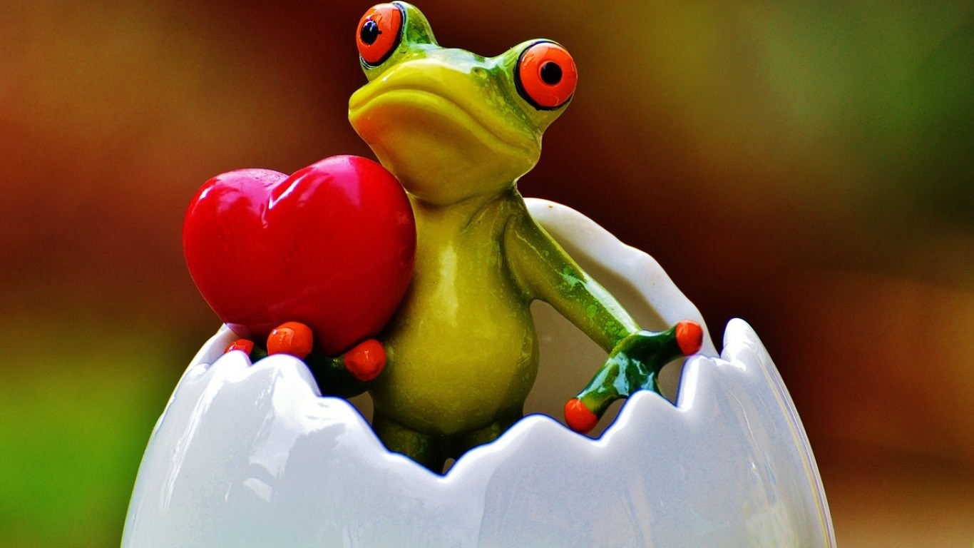 Frog with Heart Wallpaper