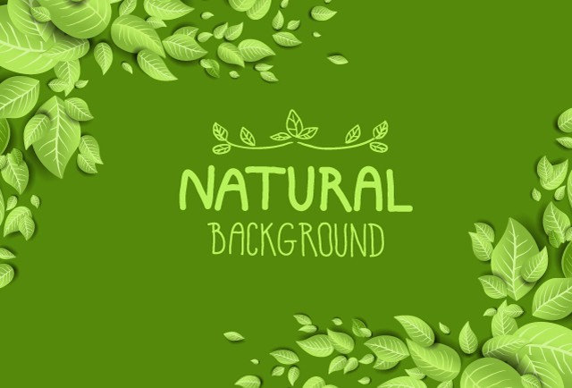  Green Natural Leaves Background 