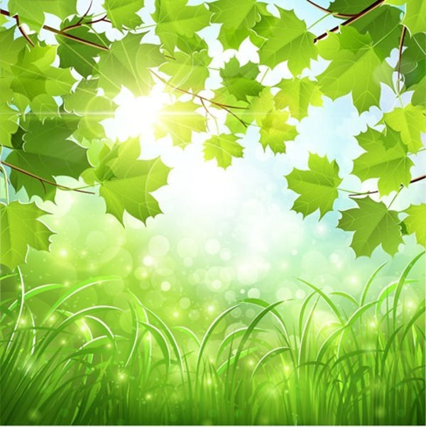  Green Nature Vector Background 