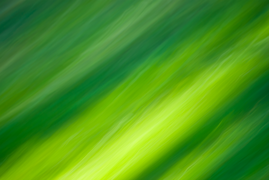 Green Wind Texture