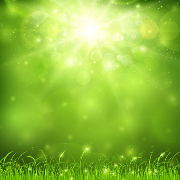  Green nature and sunlight background 