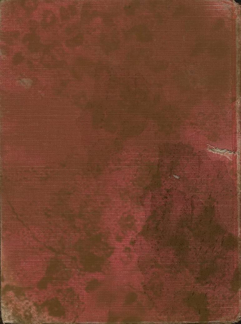 Grunge Red Cloth Book Texture