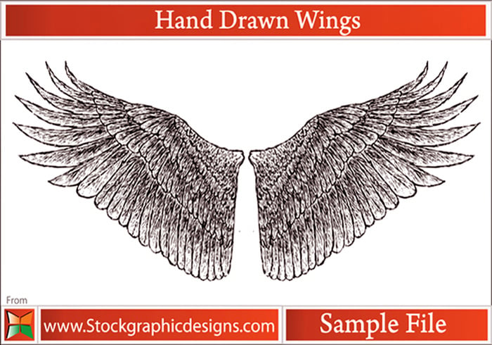 Hand Drawn Wings