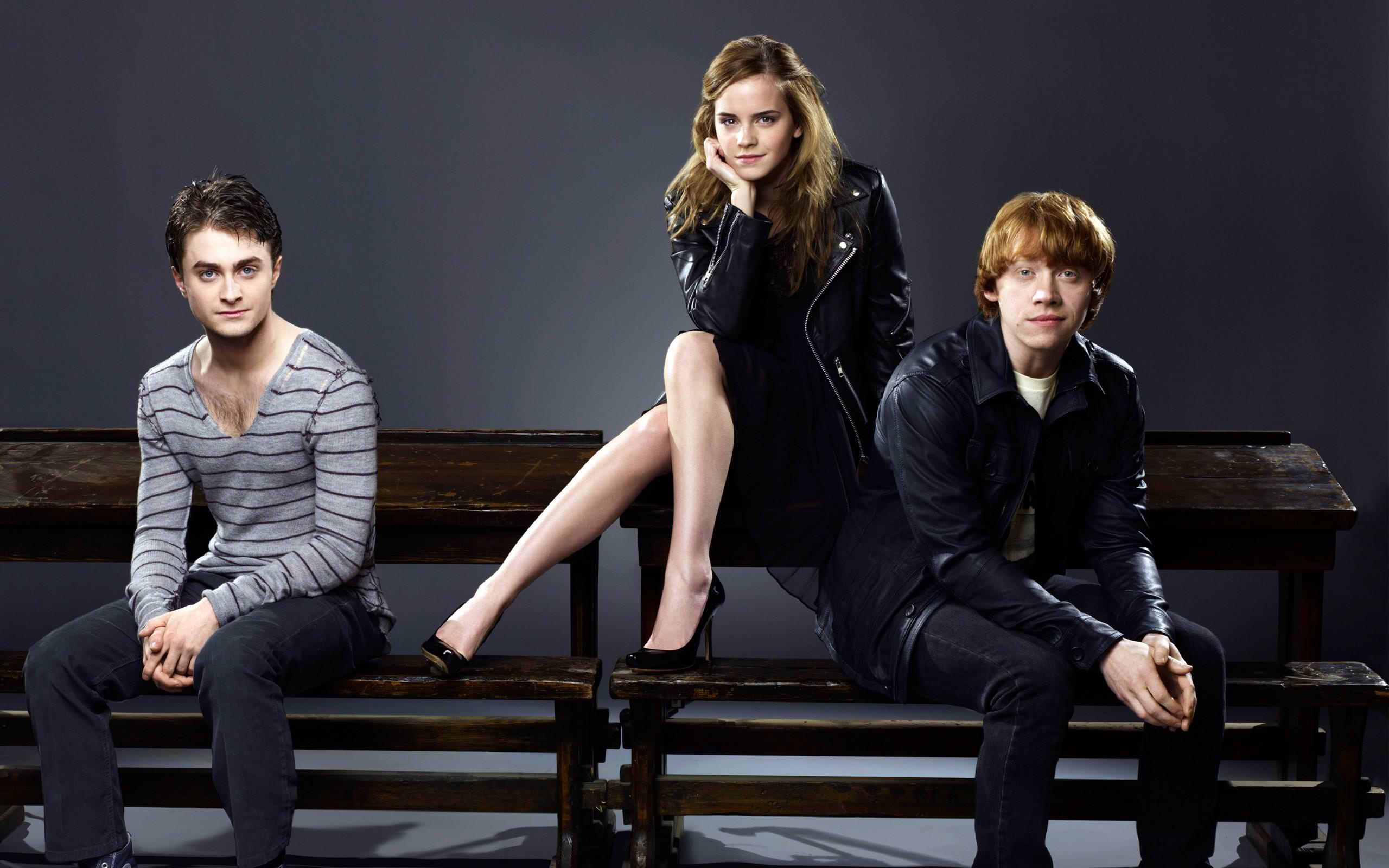 Harry Hermione & Ron Wallpaper