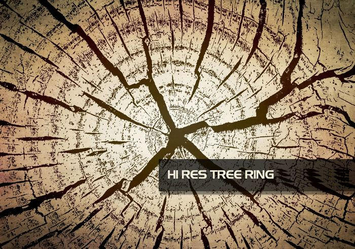High resolution tree Ring Texture Brushes