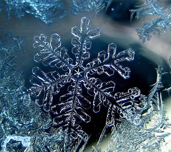 Ice Crystals Window Wallpaper