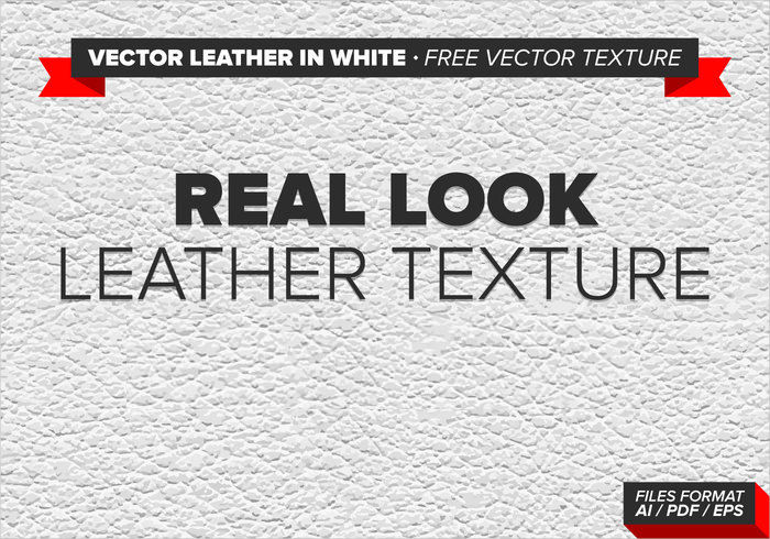 Leather in White Free Vector Texture