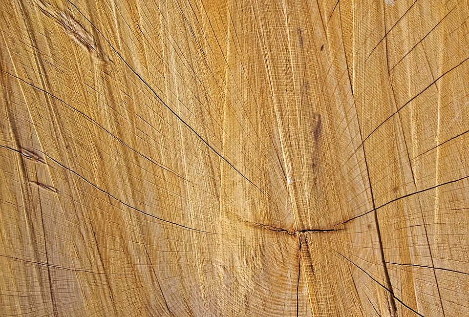 Light Brown Tree Rings Texture