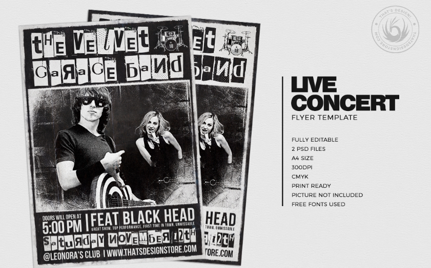 Live Concert Flyer Poster Template V3