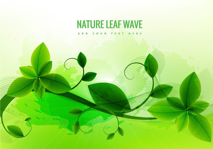 Nature Leaf Green Background