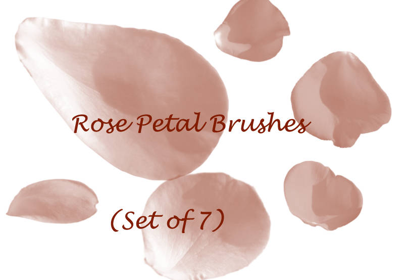 Nature Petal Cascade Brushes