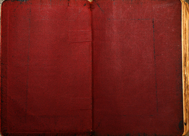 Old Red Book Texture