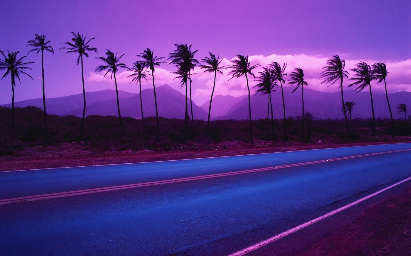 Purple Palm Trees Wallpaper