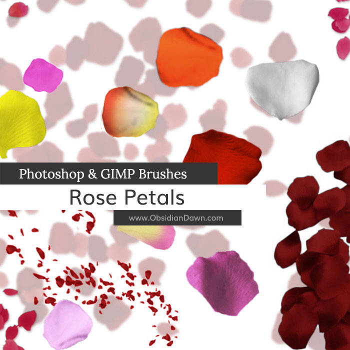 Rose Petal Photoshop Brushes