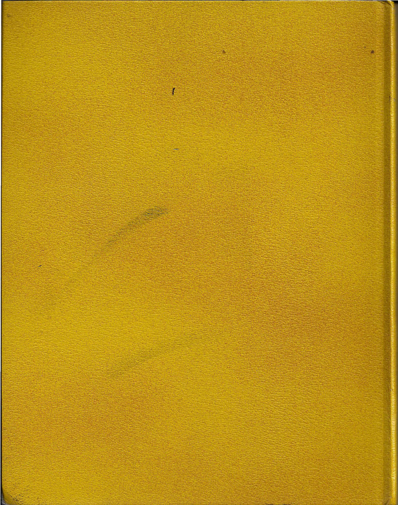 Rough Gold Book Texture