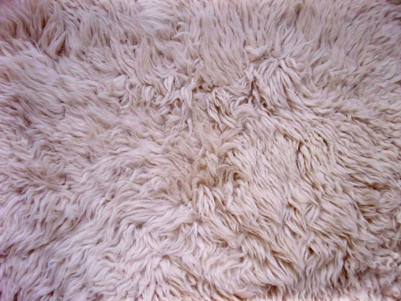 Rug Shagpile Texture