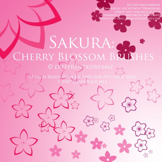 Sakura Cherry Blossom Brushes