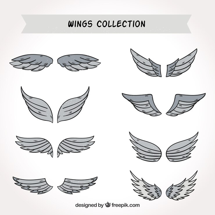 Selection of 8 Gray Wings