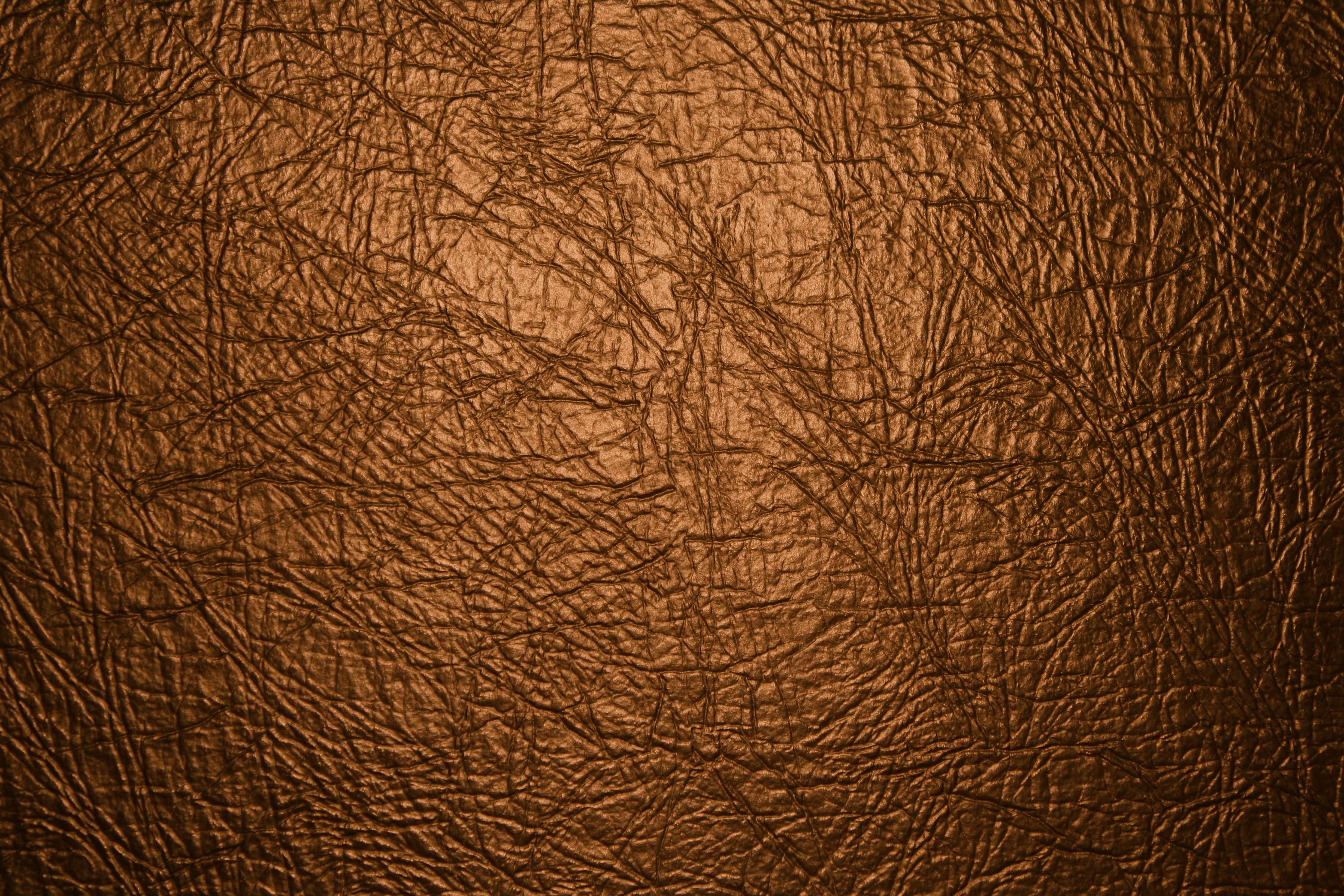 Shining Brown Texture