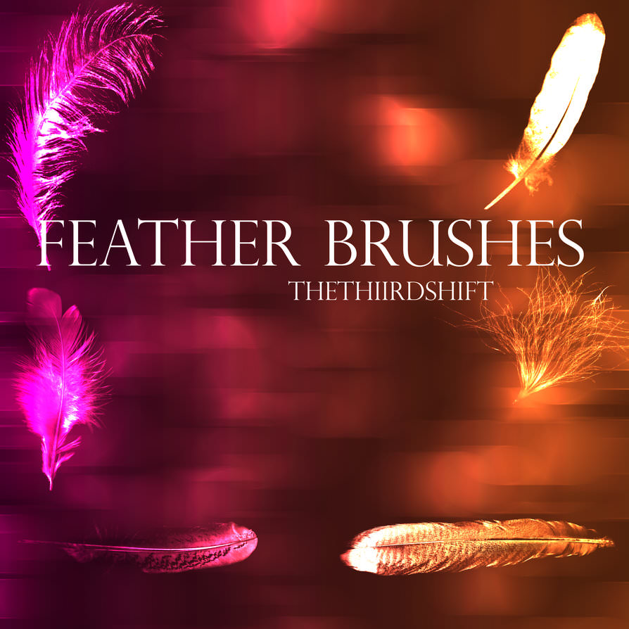 Soft Feather Brushes with Bokeh Background