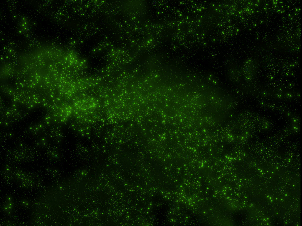 Stars In Green Background