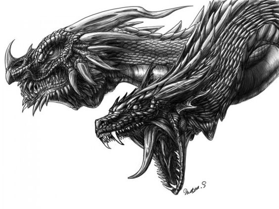 Stunning and Realistic Dragon Drawings from around the world