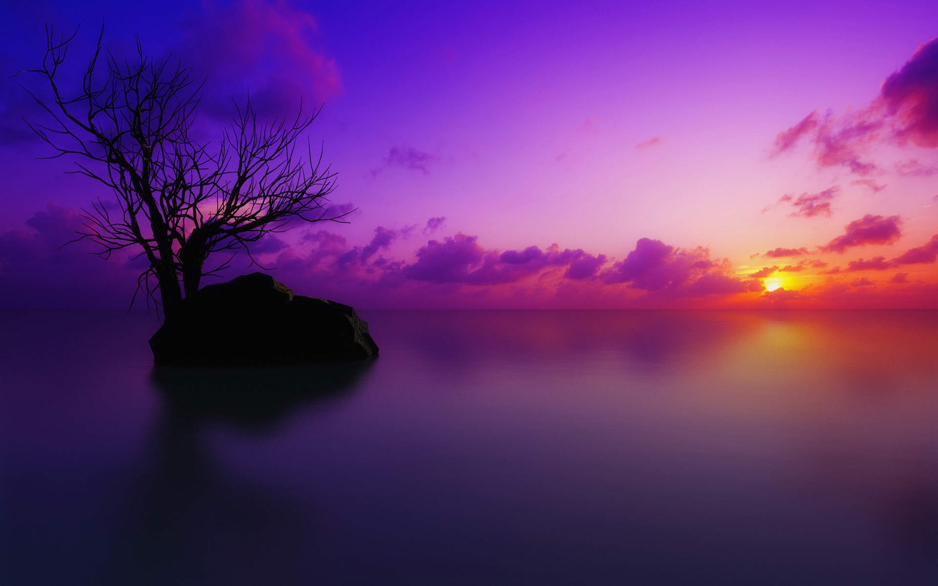 Sun Set Maldives Purple Background