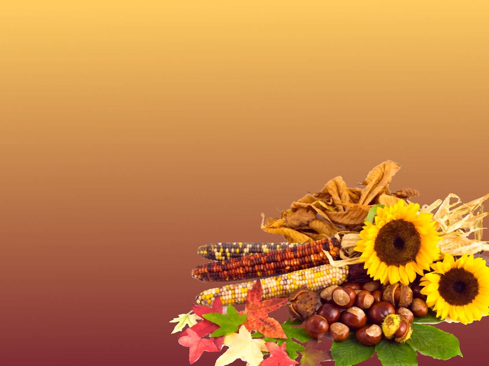 Thanksgiving HD Wallpaper