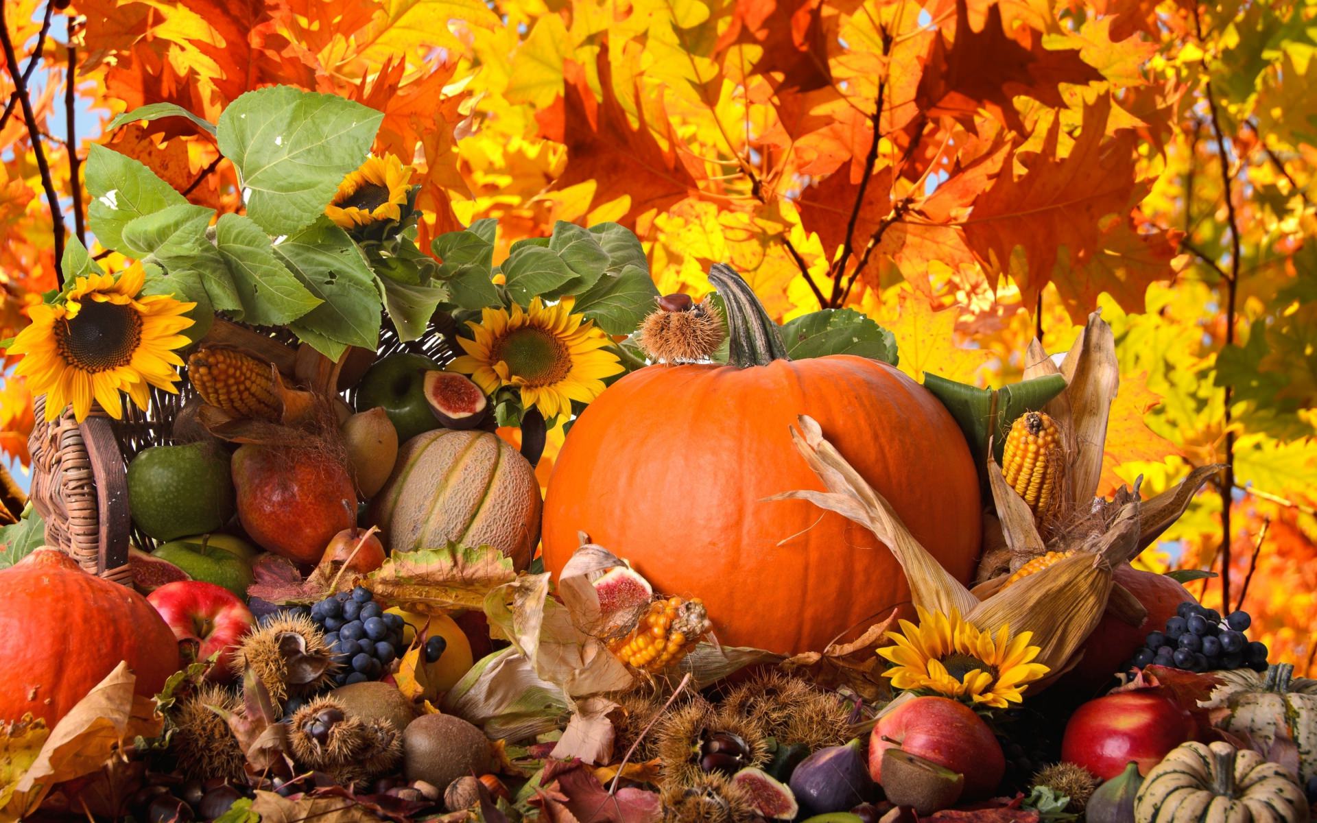 21 Thanksgiving Wallpapers Backgrounds Images 