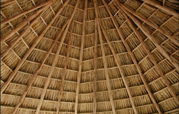 Thatched Palm Roof Texture 