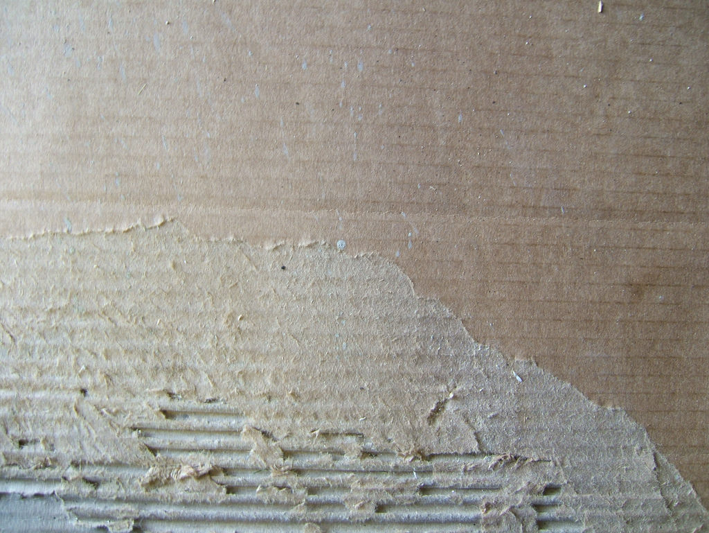 Torn Cardboard Texture