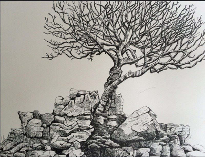 Tree drawing For Free