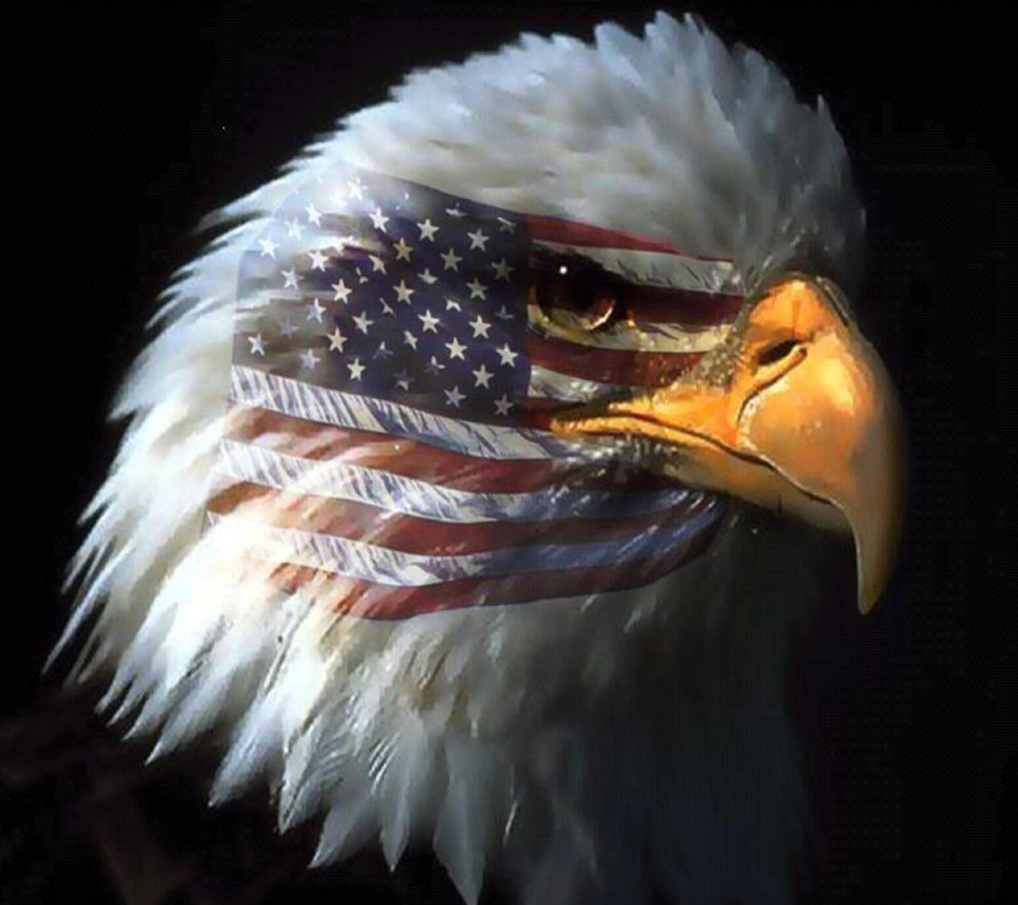 USA Eagle Wallpaper